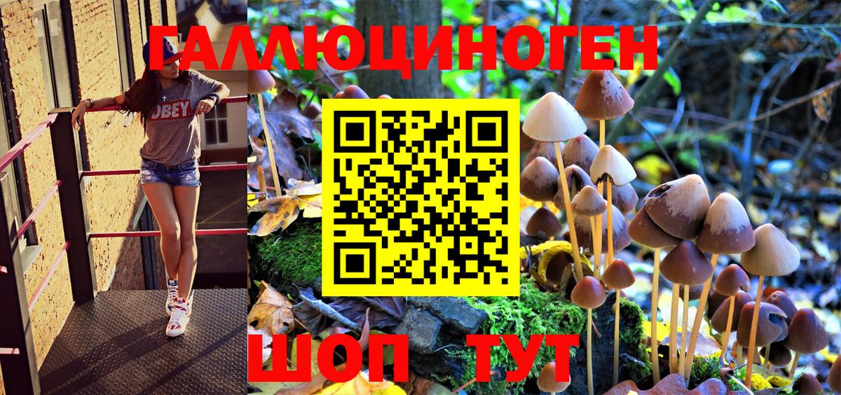 Галлюциногенные грибы Cubensis Тобольск