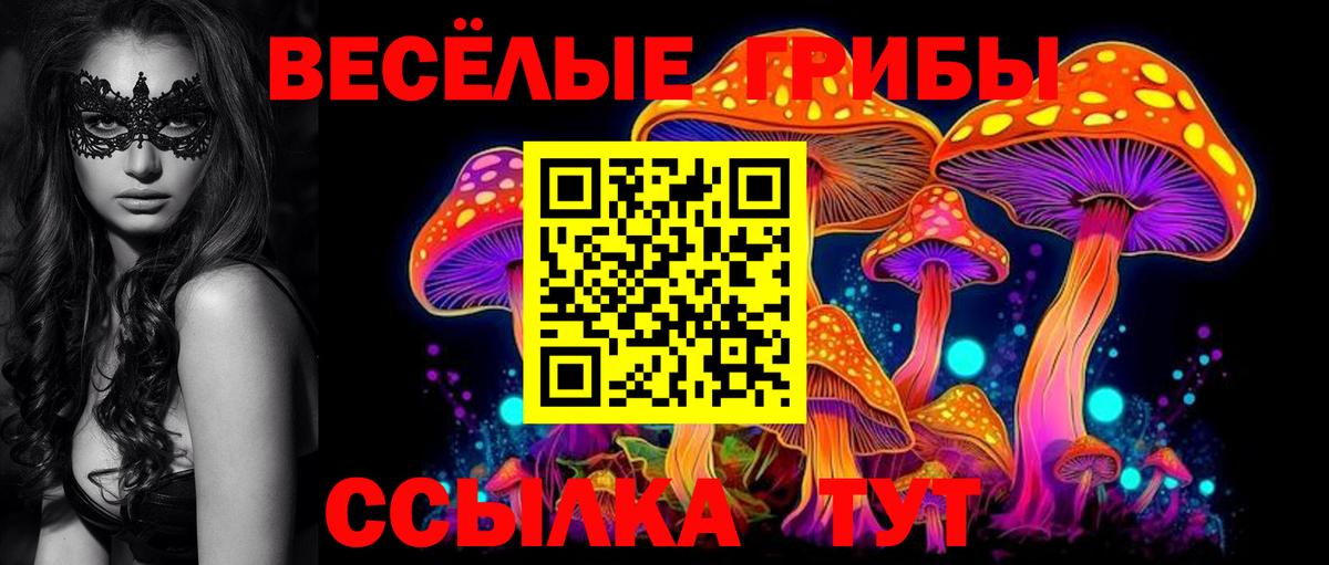 Псилоцибиновые грибы ЛСД  Галлюциногенные грибы GOLDEN TEACHER  Тобольск  Вход с VPN 